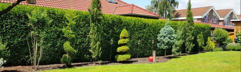 Garten- & Grünanlagenpflege